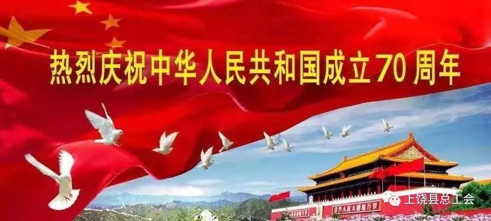 寻找萌宠松鼠