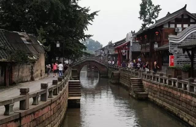 捐赠15美元即可用前任名字命名蟑螂,美国多所动物园推出奇葩情人节活动